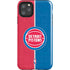 NBA Detroit Pistons Canvas iPhone Cases