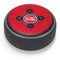 NBA Detroit Pistons Distressed Amazon Echo Dot Skin