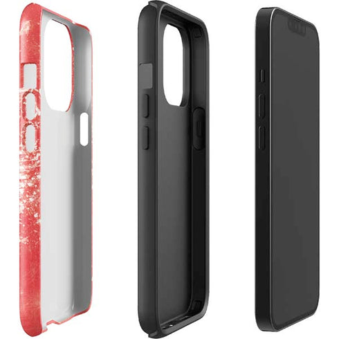 NHL Detroit Red Wings Frozen iPhone 15 Pro Impact Case