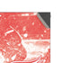 NHL Detroit Red Wings Frozen XBox Series X Digital Edition Console Skin