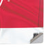 NHL Detroit Red Wings Home Jersey PS5 Pro Console Skin
