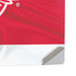 NHL Detroit Red Wings Home Jersey PS5 Pro Disk Console Skin