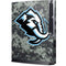 NHL Utah Mammoth DigiCamo Playstation 3 & PS3 Slim Skin