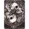 Alchemy Carta Dioscuri Apple iPad Air Skin