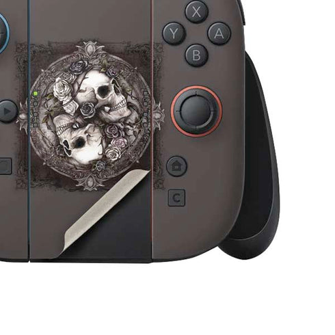 Alchemy Carta Dioscuri Nintendo Switch 2 (2025) Joy-Con Controller Skin