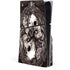 Alchemy Carta Dioscuri PlayStation PS5 Skins