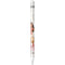 Disney Princess Moana Pattern Apple Pencil (1st Gen, 2017) Skin