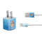 Disney Princess Moana Portrait iPhone Charger (5W USB) Skin