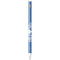 Disney Princess Moana Youre Welcome Apple Pencil (1st Gen, 2017) Skin