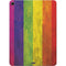 Distressed Rainbow Flag Apple iPad Air Skin