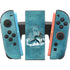 Dolphin Celtic Knot by Brigid Ashwood Nintendo Switch 2 (2025) Joy-Con Controller Skin