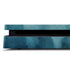 Dolphin Celtic Knot by Brigid Ashwood PS4 Slim Skin