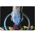 Dragon Ball Super Whis Portrait MacBook Skins