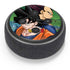 Dragon Ball Z Goku & Vegeta Amazon Echo Dot Skin