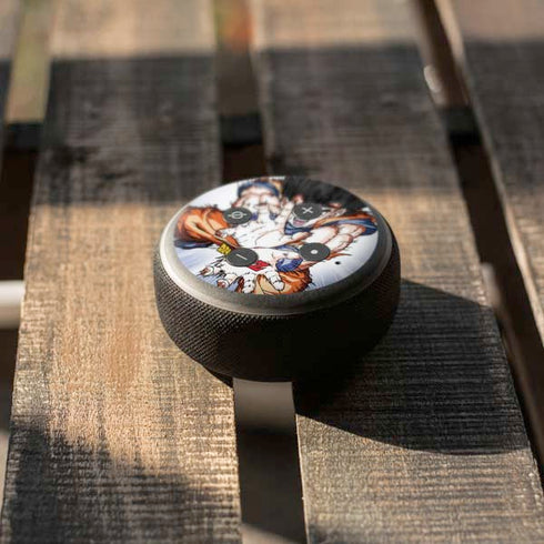 Dragon Ball Z Goku Kamehameha Blast Amazon Echo Dot Skin