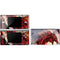 Dragon Battle by Ruth Thompson DS Lite Skin