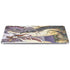 Dragon Charmer Fairy by Amy Brown Apple iPad Air Skin