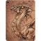 Dragon Parchment by Tom Wood Apple iPad Air Skin
