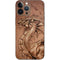 Dragon Parchment by Tom Wood iPhone 15 Pro Max Skin