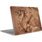 Dragon Parchment by Tom Wood Apple MacBook Air Skin