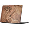 Dragon Parchment by Tom Wood Surface Laptop 7 15in Skin