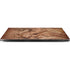 Dragon Parchment by Tom Wood Dell XPS Skin