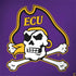 East Carolina University ECU Pirates Dell Latitude Skin