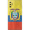 Ecuador Flag Distressed Galaxy Note 10 Plus Skin