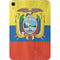 Ecuador Flag Distressed Apple iPad Mini Skin