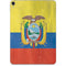 Ecuador Flag Distressed Apple iPad Pro Skin