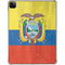 Ecuador Flag Distressed iPad Pro 11in (2024) Clear Case