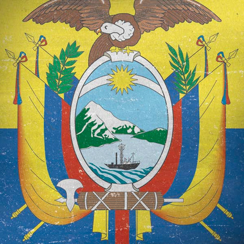 Ecuador Flag Distressed Moto G6 Skin