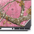 RealTree Edge Pink Camo Dell Precision Skin