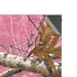 RealTree Edge Pink Camo XBox Series X Digital Edition Console Skin