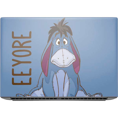 Disney Winnie the Pooh Eeyore Portrait HP ZBook Fury 16 G10 Skin