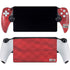 Egypt Soccer Flag PlayStation Portal Remote Player Skin