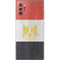 Egyptian Flag Distressed Galaxy Note 10 Plus Skin