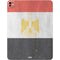 Egyptian Flag Distressed iPad Pro 13in M4 (2024) Skin