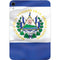 El Salvador Flag Apple iPad Mini Skin