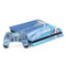 Disney Frozen Elsa Icy Powers Art PlayStation PS4 Skins
