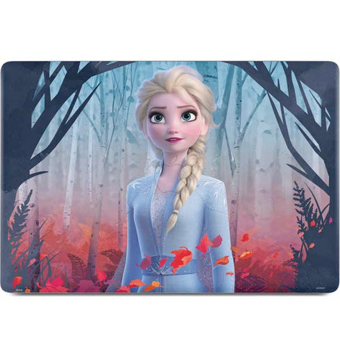 Disney Frozen II Elsa MacBook Skins