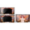 Ember Fire Fairy by Ruth Thompson DS Lite Skin