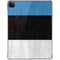 Estonia Flag Distressed iPad Pro 11in (2024) Clear Case