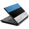 Estonia Flag Distressed T440s Skin