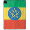 Ethiopia Flag Distressed iPad Pro 11in (2024) Clear Case