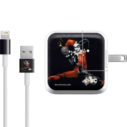 DC Comics Harley Quinn Playfull Pose iPad Charger (10W USB) Skin