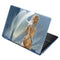 Fairy Goddess by LA Williams Aspire R11 11.6in Skin