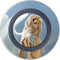 Fairy Goddess by LA Williams Wireless Charger Skin