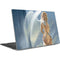 Fairy Goddess by LA Williams Dell XPS Skin