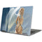 Fairy Goddess by LA Williams Yoga 710 14in Skin